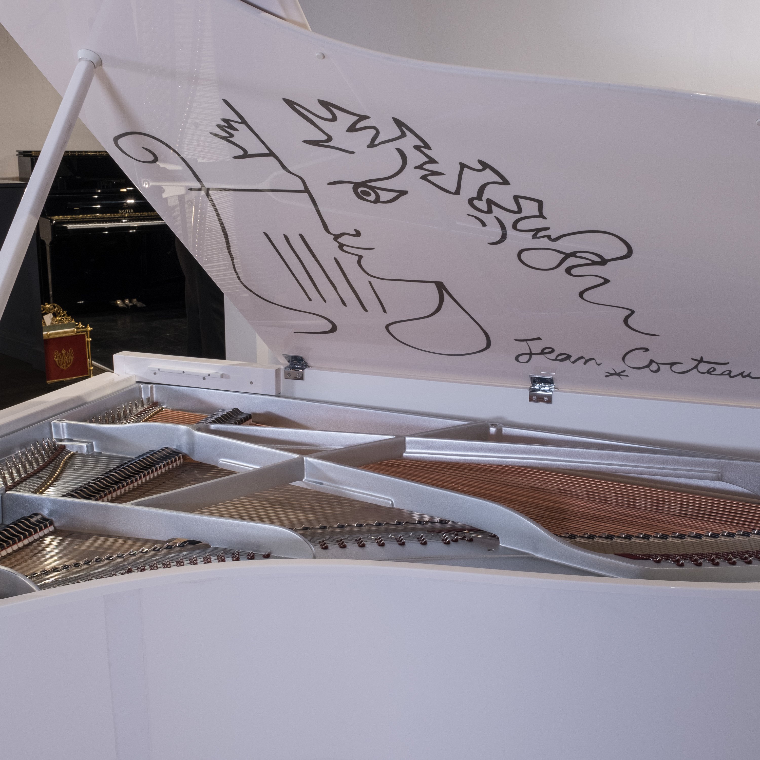 Jean Cocteau Bosendorfer grand piano DSCF3940
