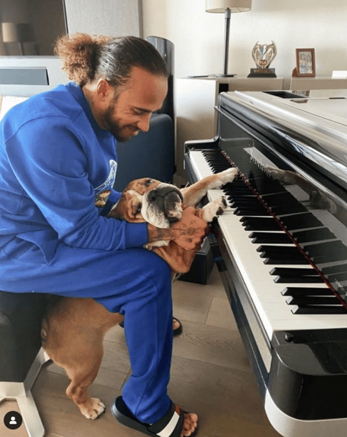 Lewis Hamilton Dog and Piano